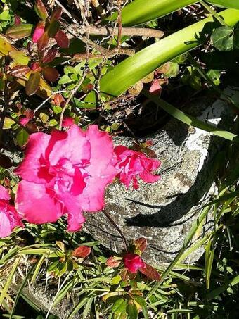 Pa�os Arcanjo Miguel