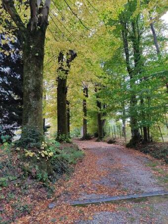 Hostal Casa Dora B&B