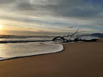 Apartamento Casa Nyx