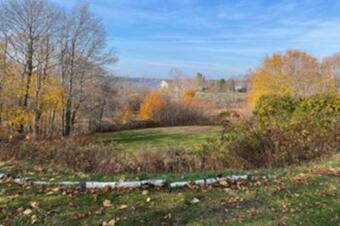 Apartamento The Sou'wester Motel On Orr's Island