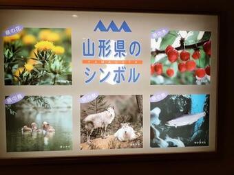 Hotel Best Western Yamagata-airport