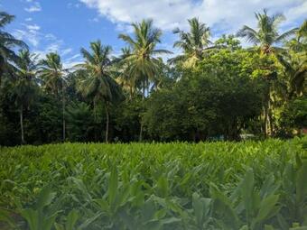 Hotel Soba Lanka Holiday Resort