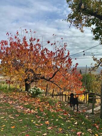 Apartamento Csak1n�v