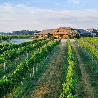 Grand Villa Resort Style Home Heated Pool Jacuzzi Outdoor Bar Pr