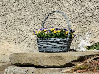 Holiday Home C� Rosa Carena