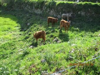 Azenha Da Lavoura Em Barrega