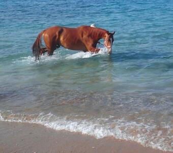 Villa Suite Atellier