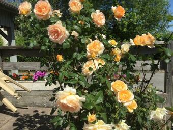 Le Grand G�te De La Doye Franche Comte Bord Rivi�re Lizon