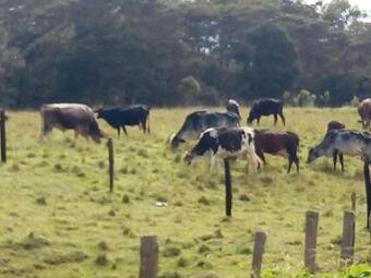 Hotel Casa Hospedaje El Prado Eco Turismo