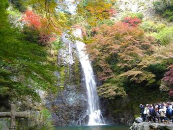 Reftel Osaka Airport Hotel