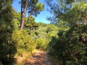 Summer Paradise , Thasos Island!!!