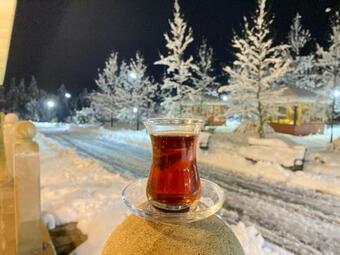 Hirkan Park Hotel