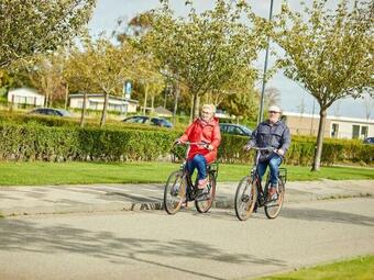 Coy Holiday Home With Large Garden, In Zeeland