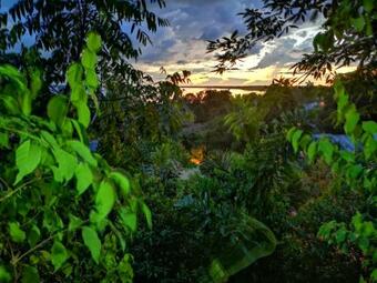 Hotel Paraiso Ayahuasca