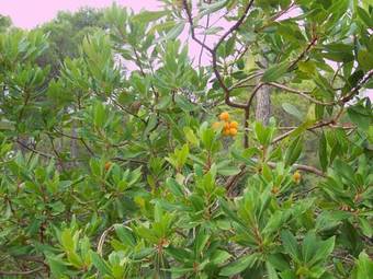 Albergue Aljibe De Monastrell