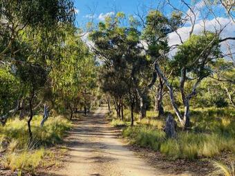 Idlewild - Secluded Absolute Beachfront Escape