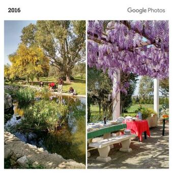 Masseria Cocciolicchio