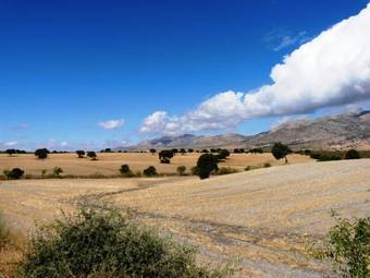Apartamento Cortijo La Estrella