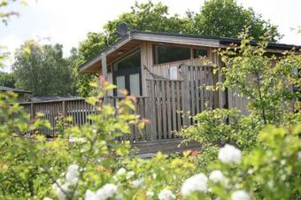 Traditional 2 Bed Lodge