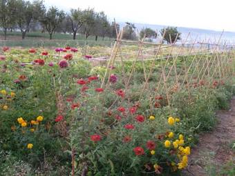 Agroturismo Agriturismo Papageno