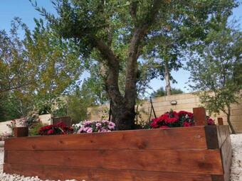 Villa House Of Roses