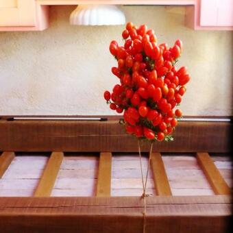 Apartamento Krasberry