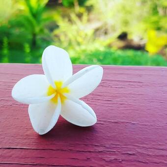 Villa Finca Del Zen Ecolodge