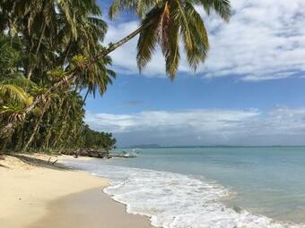 Cozy Tent On Bluff Beach