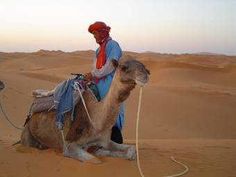 Apartamento R�sidence Fanti