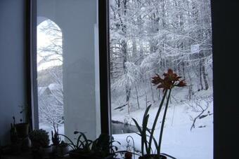 Lodge Pensiunea Vila Cerbul