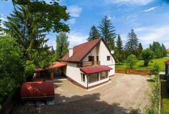 Orchidea Vend�gh�z