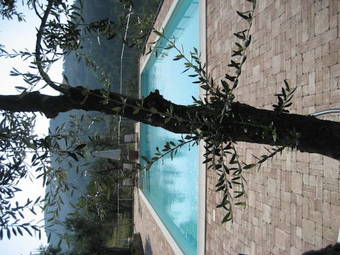 Agroturismo Agriturismo La Gioconda