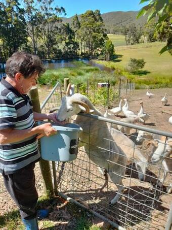 Old School Rocky Cape Serviced Apartment