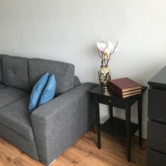 Studio Apartament W Centrum L?borka