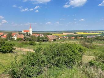 Apartm�n U B?ezin?