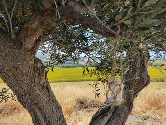 Apartamento Casa Caminate - La Quercia