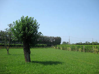 Agroturismo Agriturismo Le Nosare