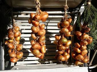 Agroturismo Agriturismo Solimago