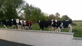 Apartamento Appartement Ind�pendant Pour Gp, 24h, Le Mans Classic 4 Personnes