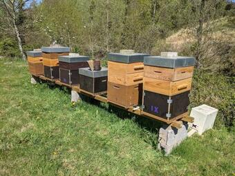 Agroturismo L'angeberdi�re