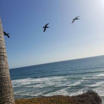 Villa Casa Frida ! Con Jacuzzi Y Juegos!