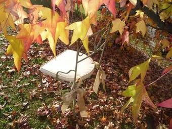 Bed & Breakfast Al Chiar�