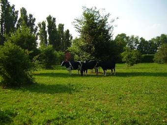 Agroturismo Agriturismo B&B Cascina Isola Maria