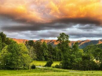 Million Dollar View! Peaceful, Cozy Apartment.