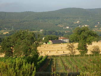 Agroturismo Agriturismo Regno Verde