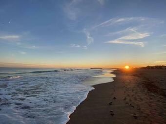 Les G�tes De Pailh�s