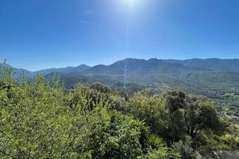 Bright 28 M With Wifi-balcon- Garden And View