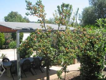 Apartamento Villa Primavera