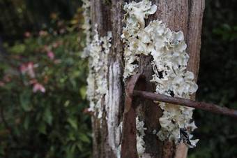 Bed & Breakfast Bendles Cottages