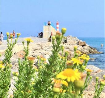 Bed & Breakfast Cheriedel